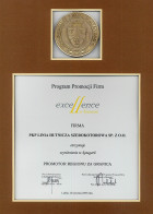 Excellence w Biznesie 2009